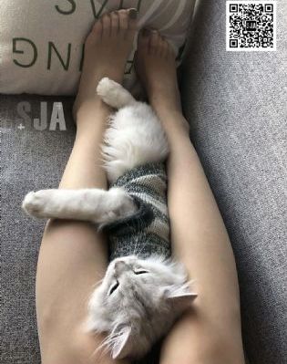 D黑人社长人妻秘书_免费手机在线看片